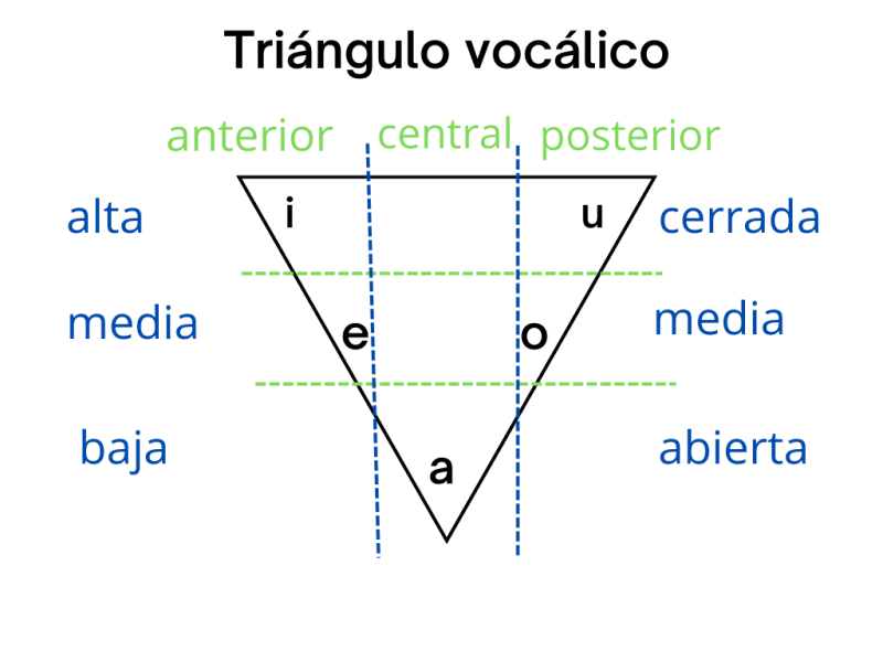 Aula de español Los sonidos del español vocales