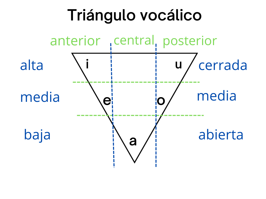 Bild 6 Triangulo vocalico completo 2