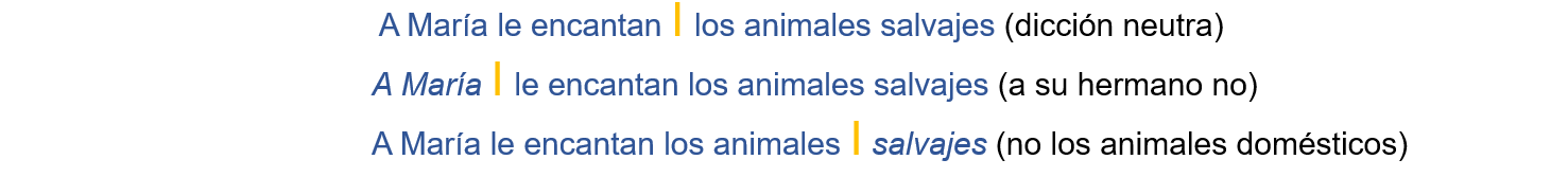Cuadro 10 – grupos fónicos